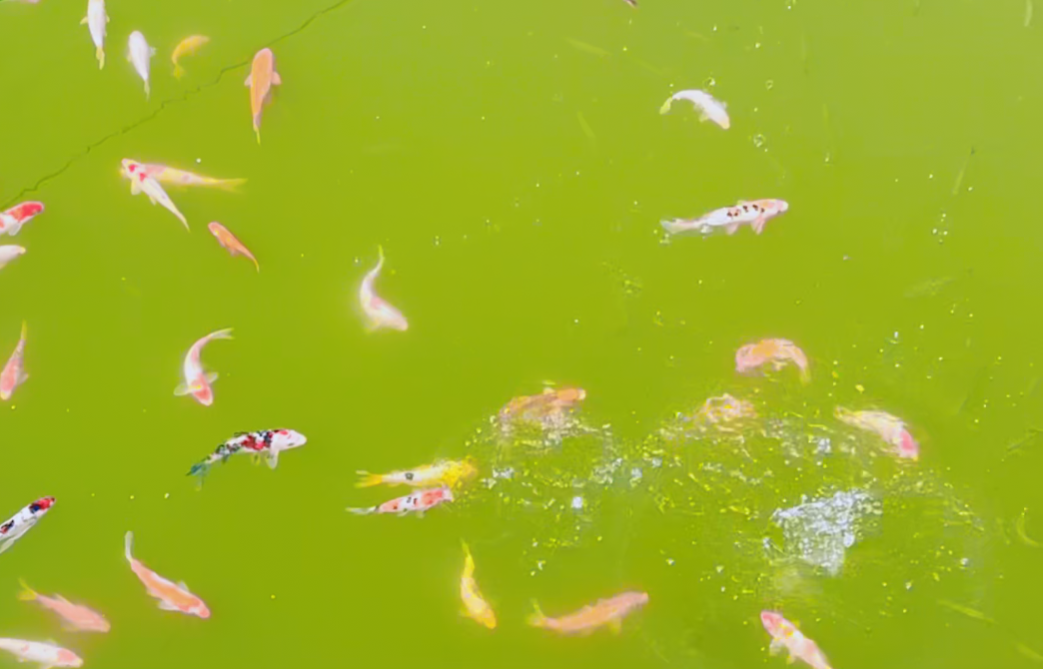 必赢亚洲·Bwin(唯一)官方网站