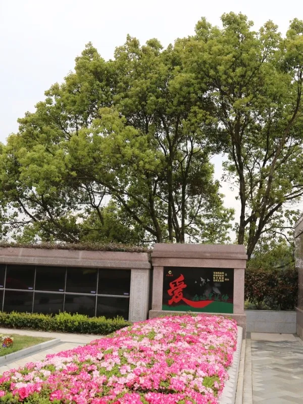 必赢亚洲·Bwin(唯一)官方网站