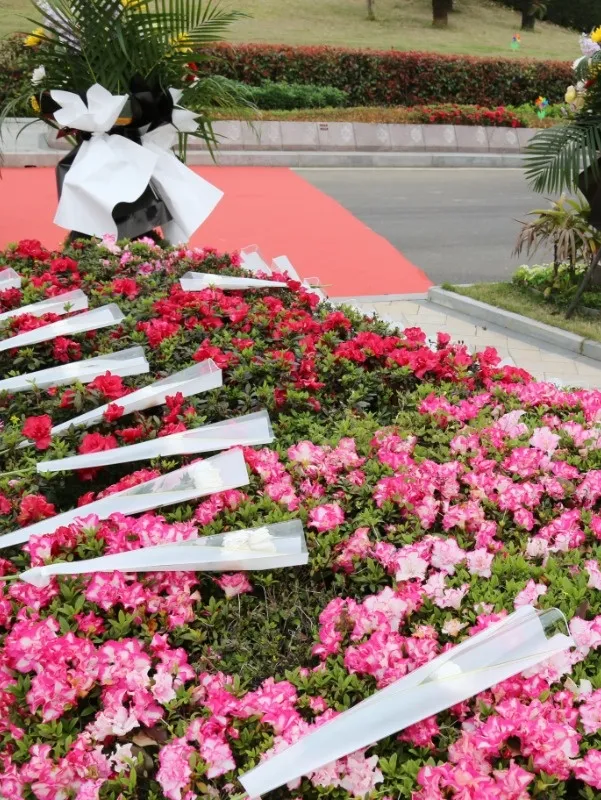 必赢亚洲·Bwin(唯一)官方网站