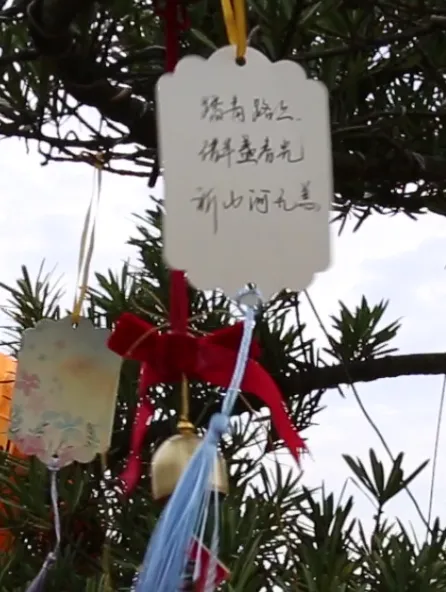 必赢亚洲·Bwin(唯一)官方网站