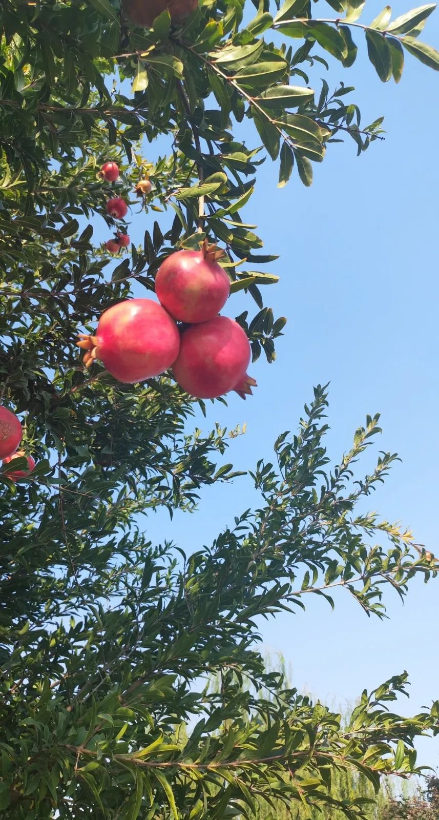 必赢亚洲·Bwin(唯一)官方网站