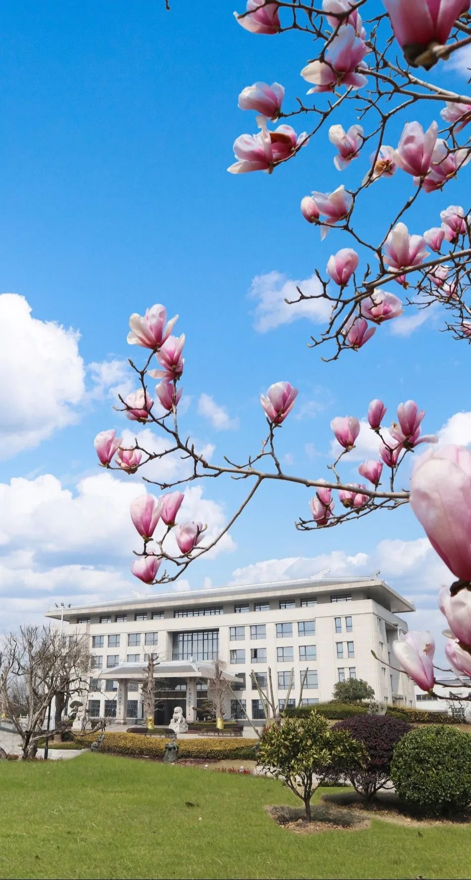 必赢亚洲·Bwin(唯一)官方网站