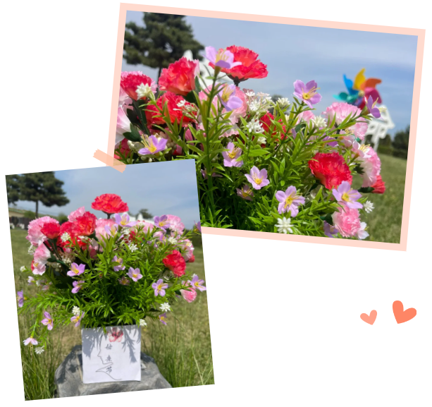 必赢亚洲·Bwin(唯一)官方网站