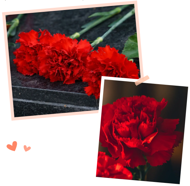 必赢亚洲·Bwin(唯一)官方网站