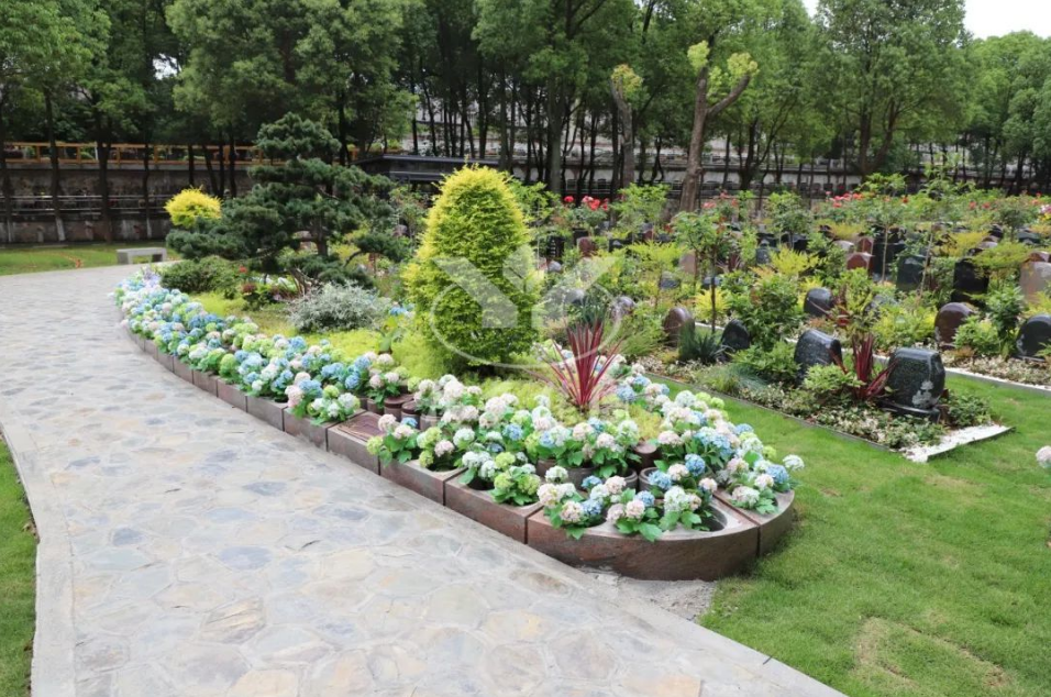 必赢亚洲·Bwin(唯一)官方网站