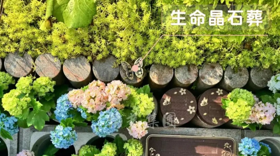 必赢亚洲·Bwin(唯一)官方网站