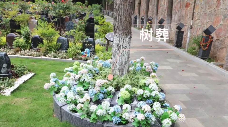 必赢亚洲·Bwin(唯一)官方网站