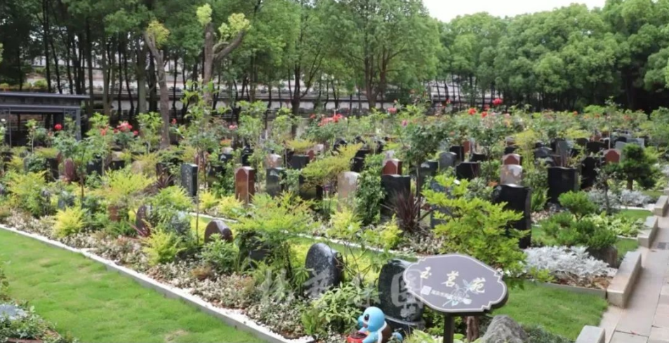 必赢亚洲·Bwin(唯一)官方网站