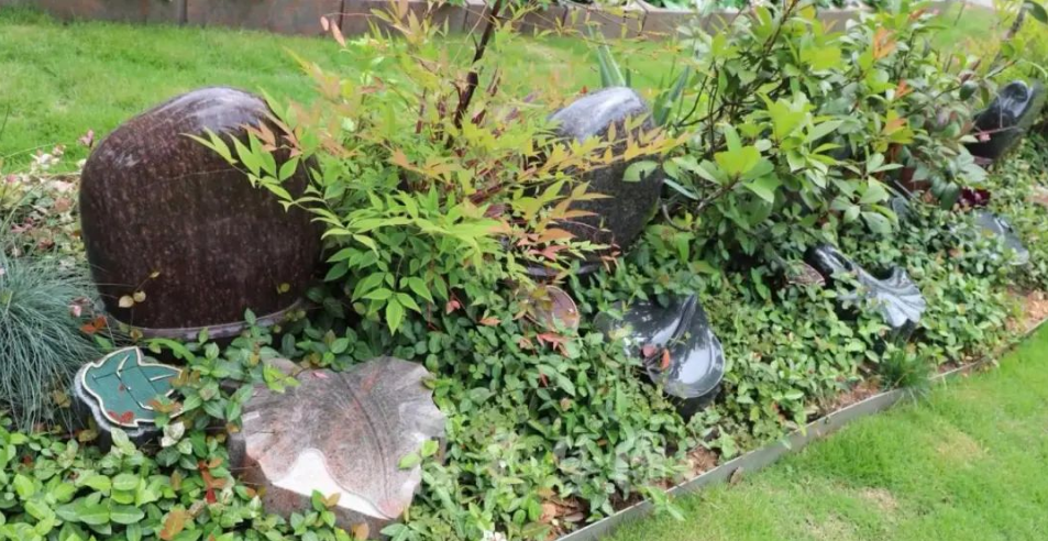 必赢亚洲·Bwin(唯一)官方网站