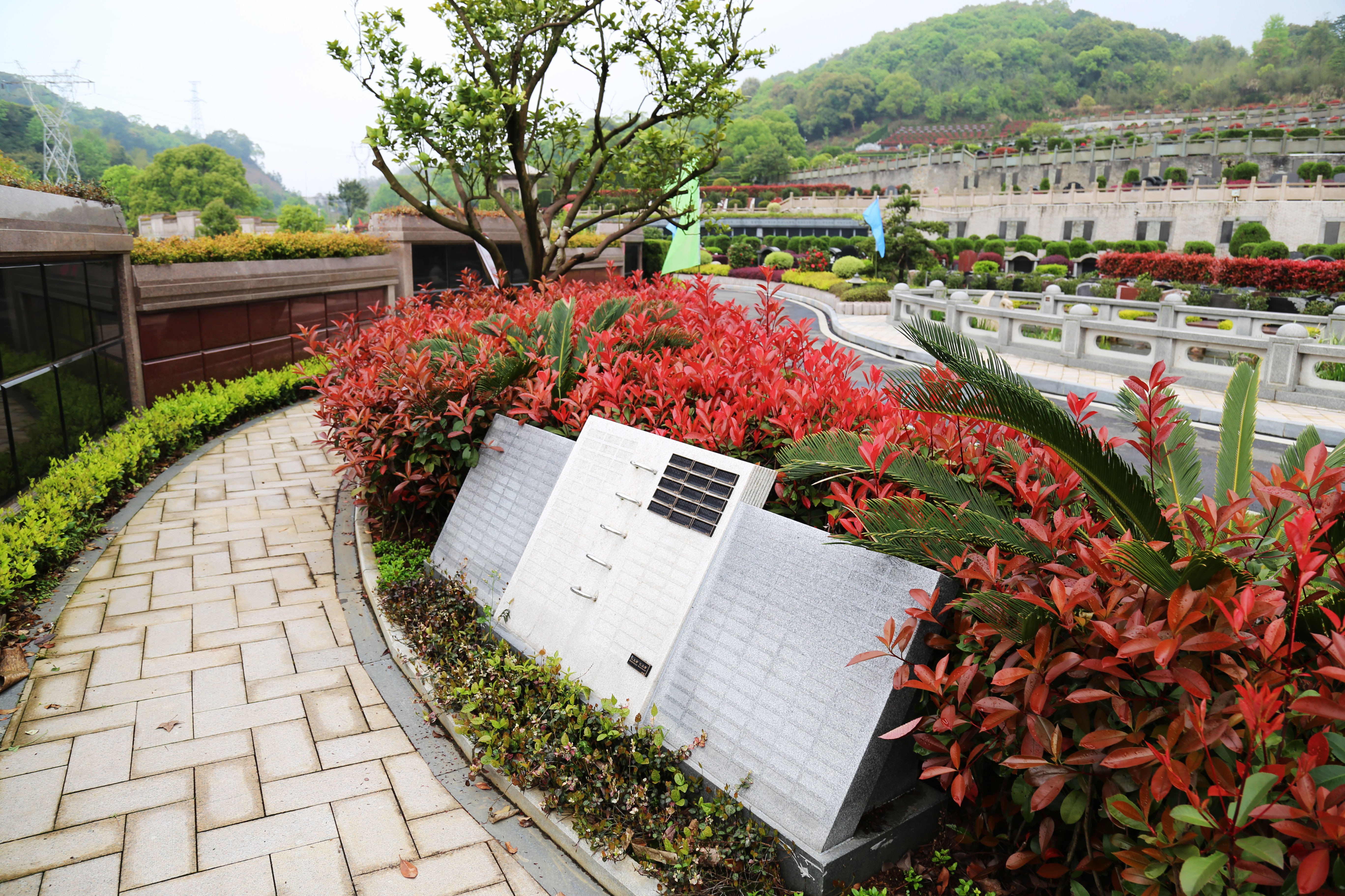 必赢亚洲·Bwin(唯一)官方网站