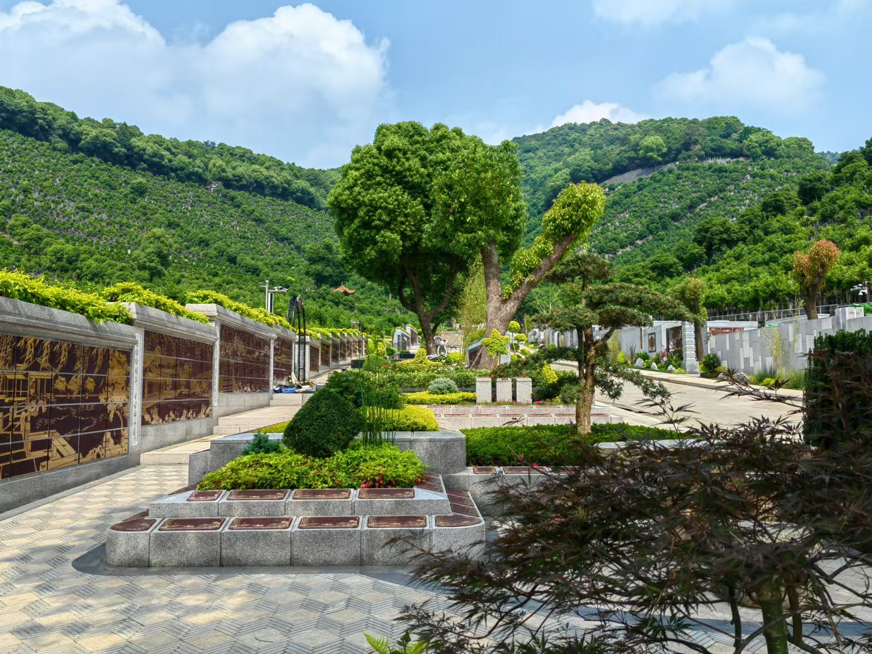 引领绿色生态新民俗，，，，共筑生命协调家园