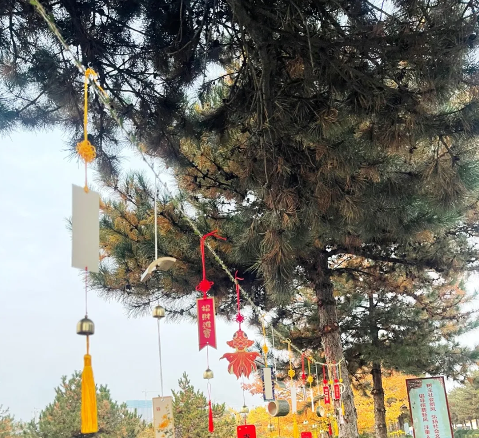 必赢亚洲·Bwin(唯一)官方网站