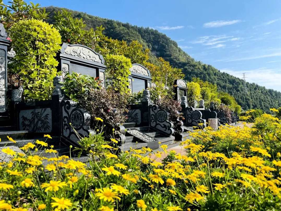 必赢亚洲·Bwin(唯一)官方网站