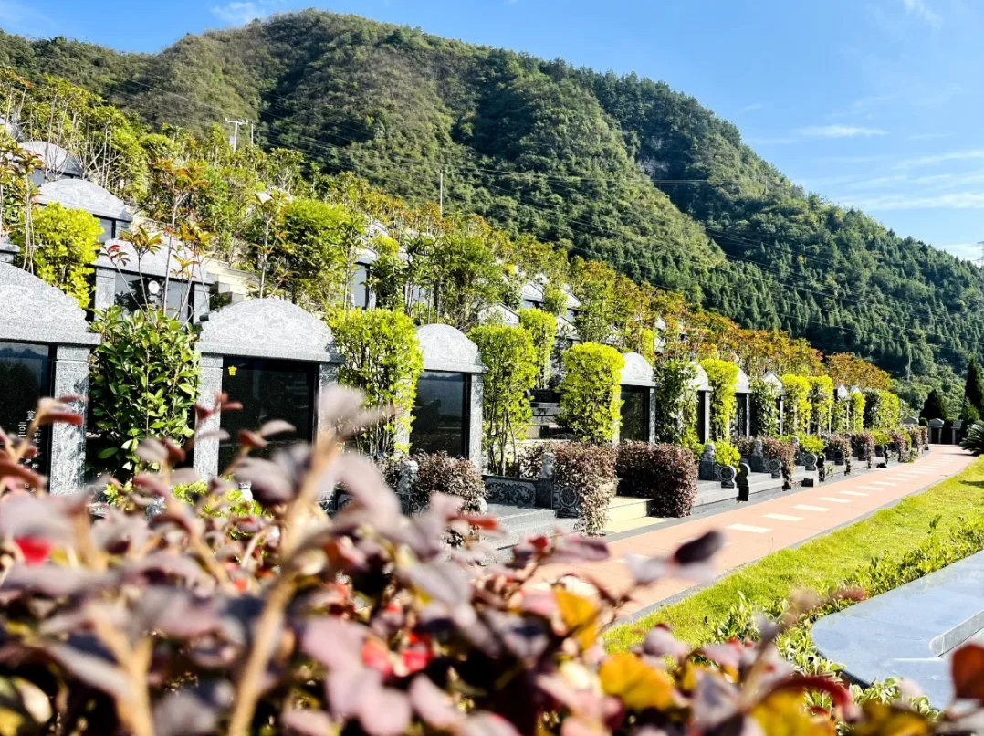 必赢亚洲·Bwin(唯一)官方网站