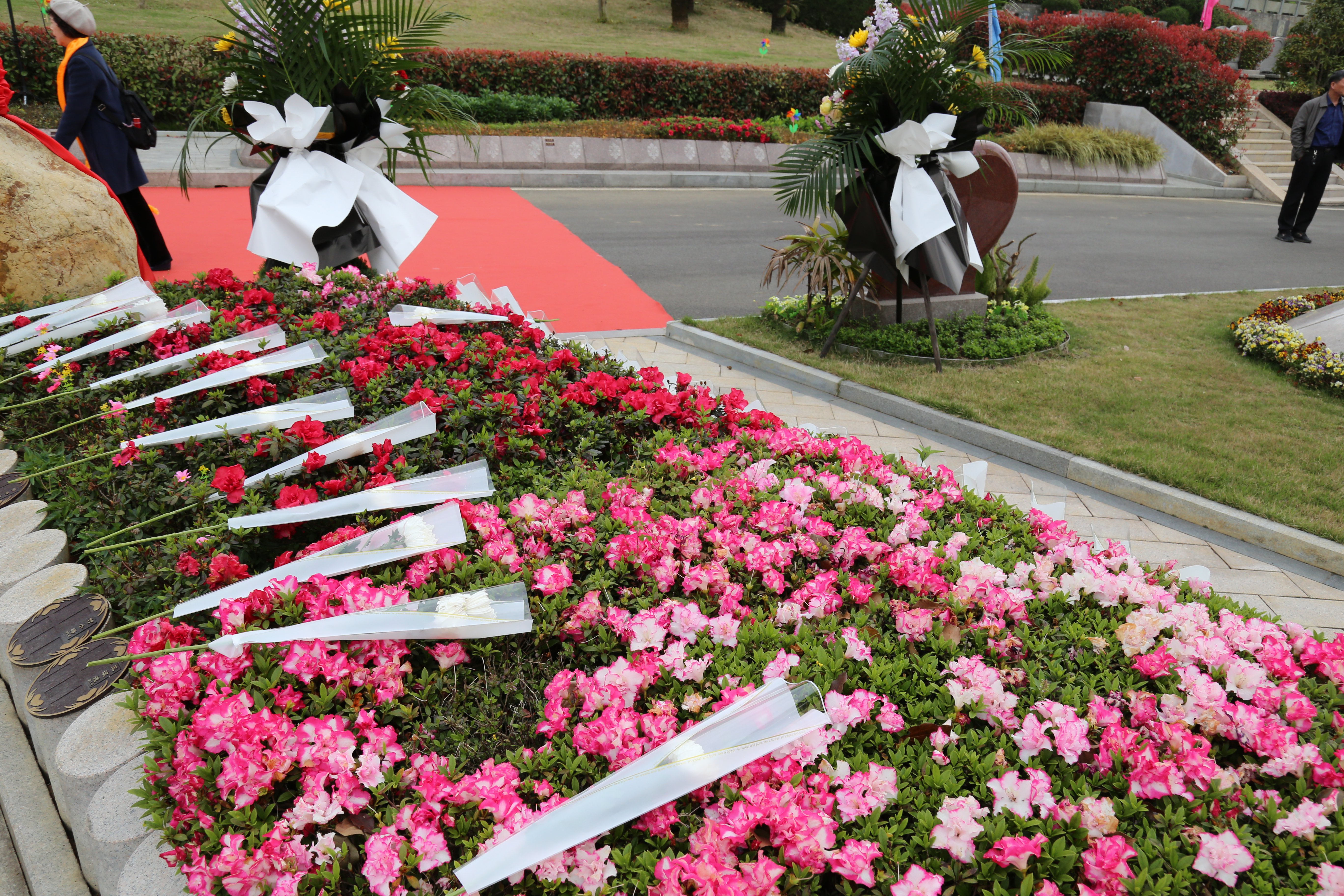 必赢亚洲·Bwin(唯一)官方网站