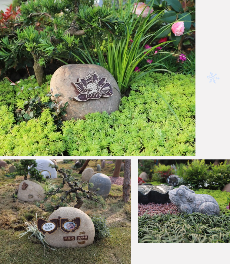 必赢亚洲·Bwin(唯一)官方网站