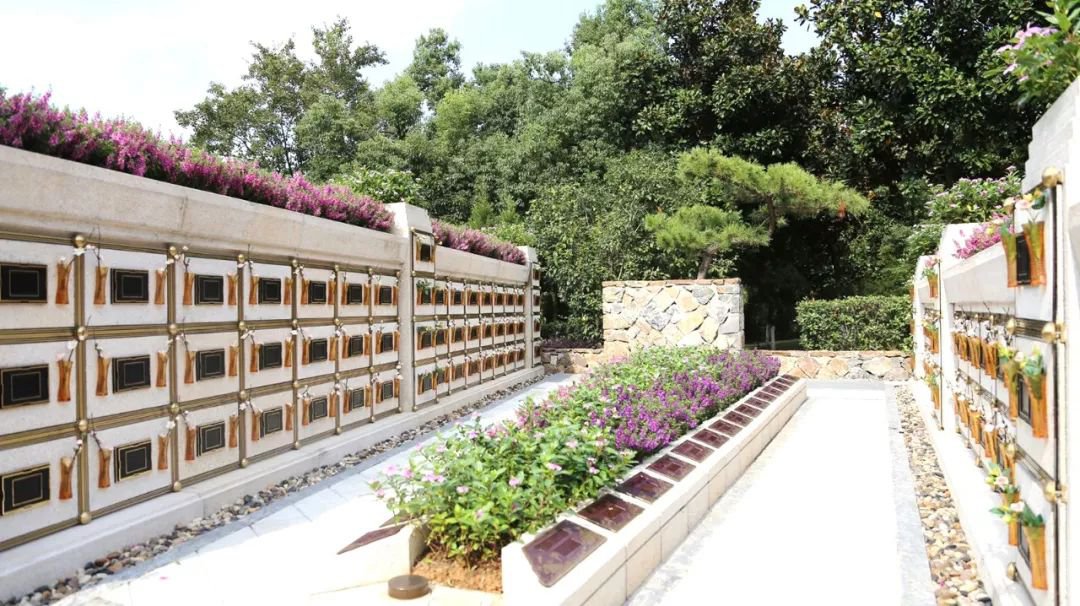 在合肥大蜀山文化陵园，，，，与生命温柔对话