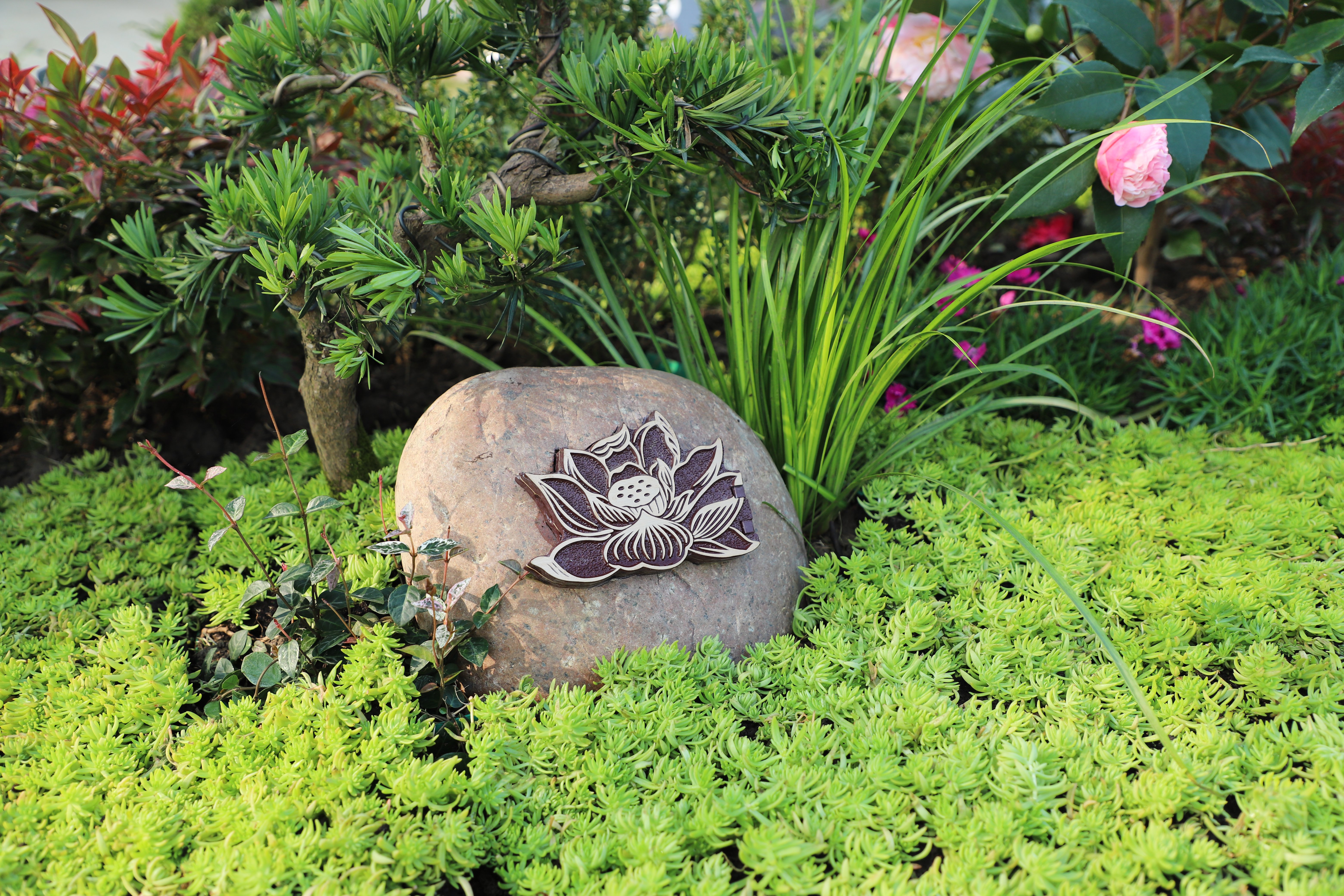 必赢亚洲·Bwin(唯一)官方网站