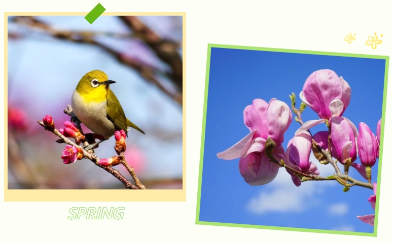 必赢亚洲·Bwin(唯一)官方网站