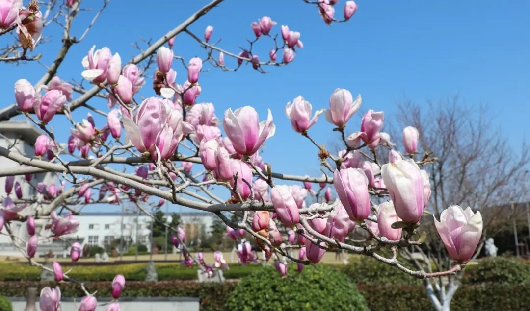 必赢亚洲·Bwin(唯一)官方网站