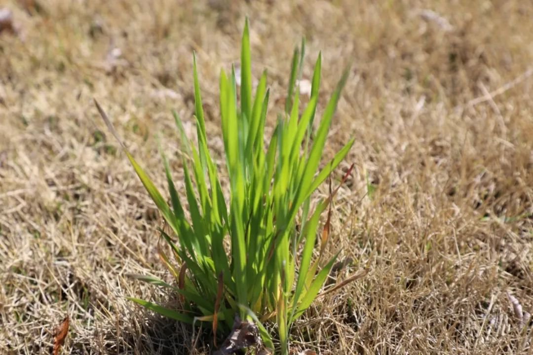 必赢亚洲·Bwin(唯一)官方网站