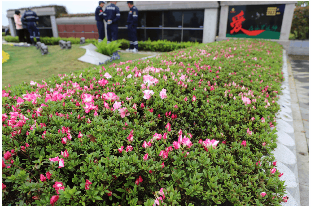 必赢亚洲·Bwin(唯一)官方网站