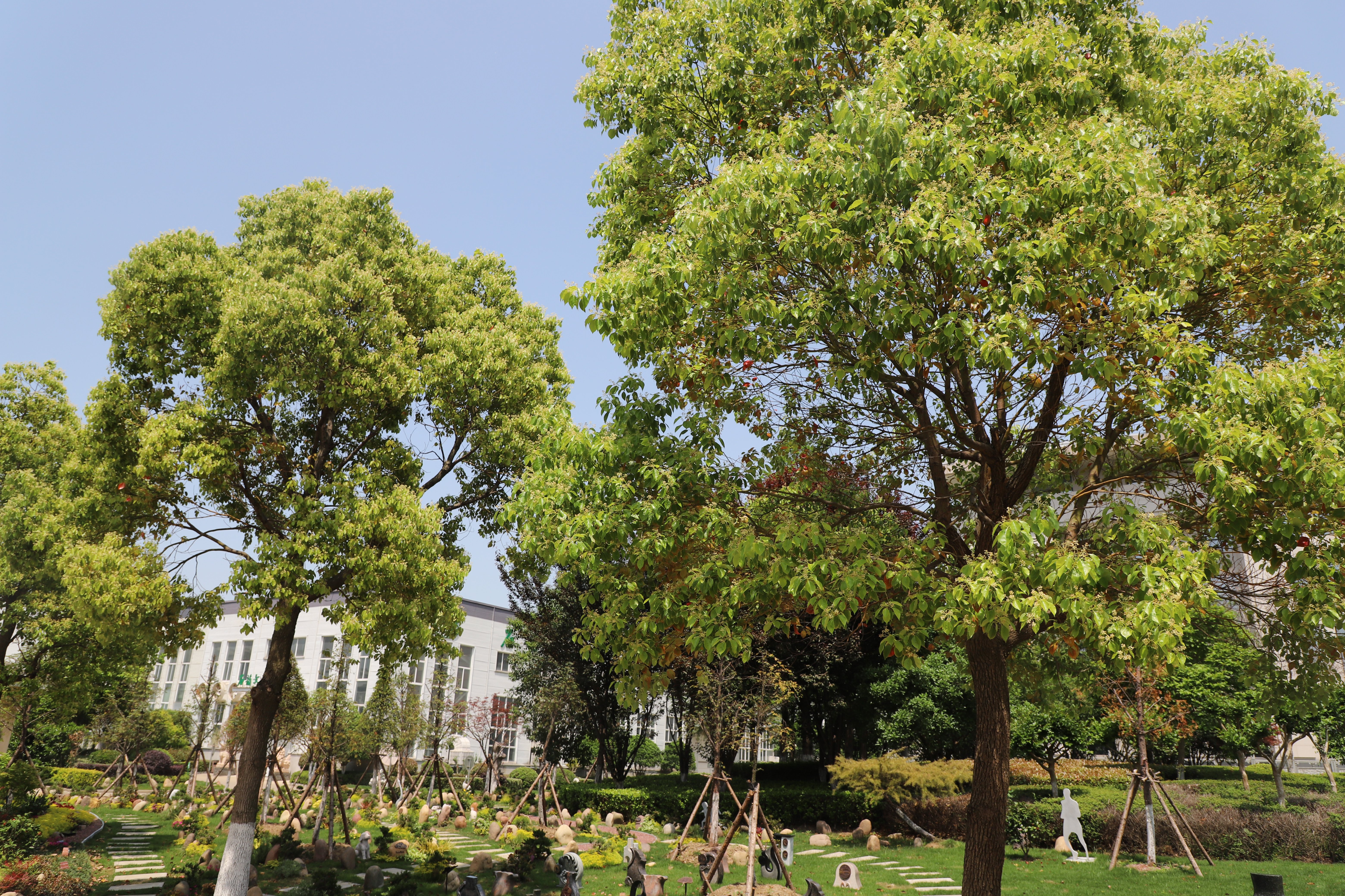 必赢亚洲·Bwin(唯一)官方网站