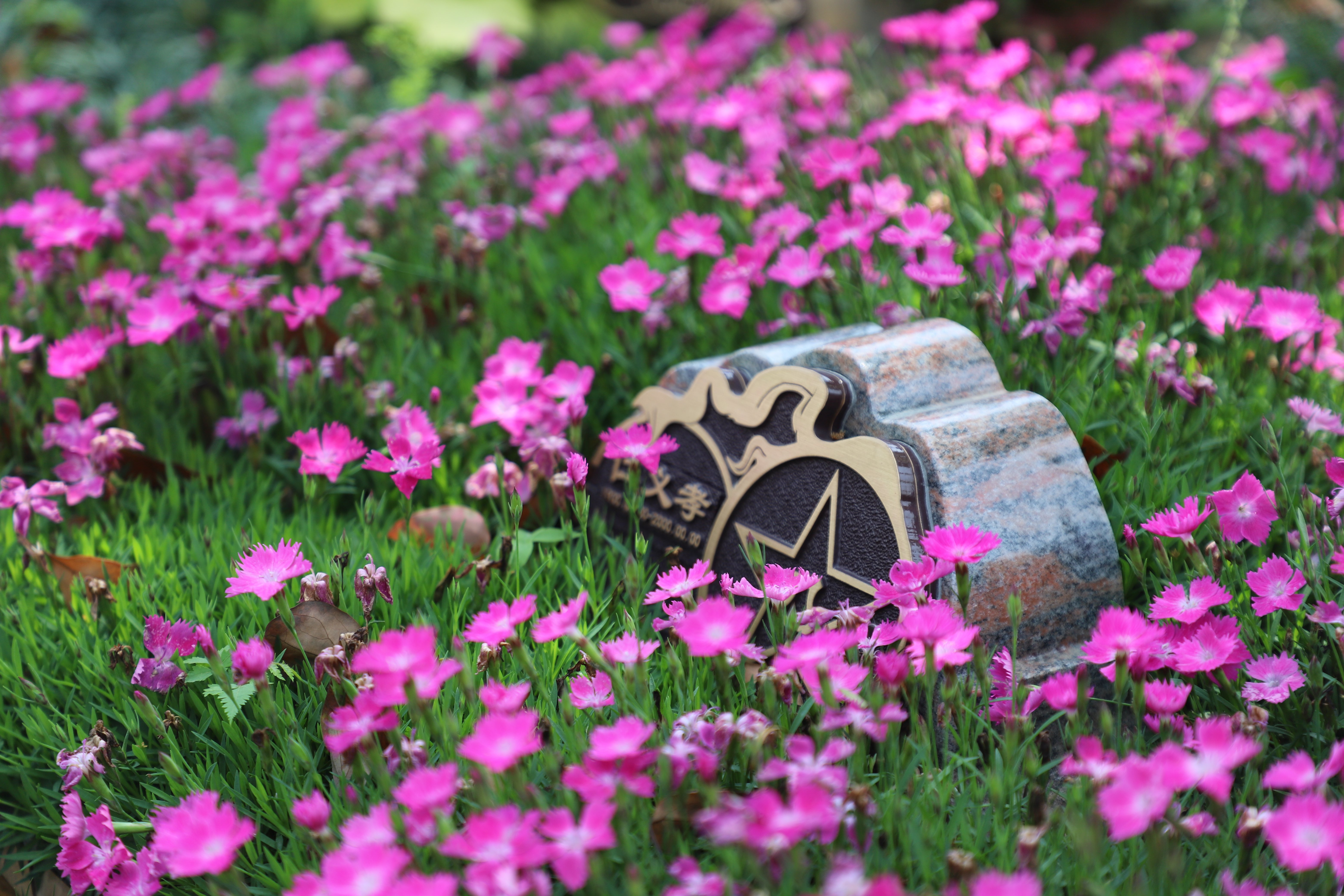 必赢亚洲·Bwin(唯一)官方网站