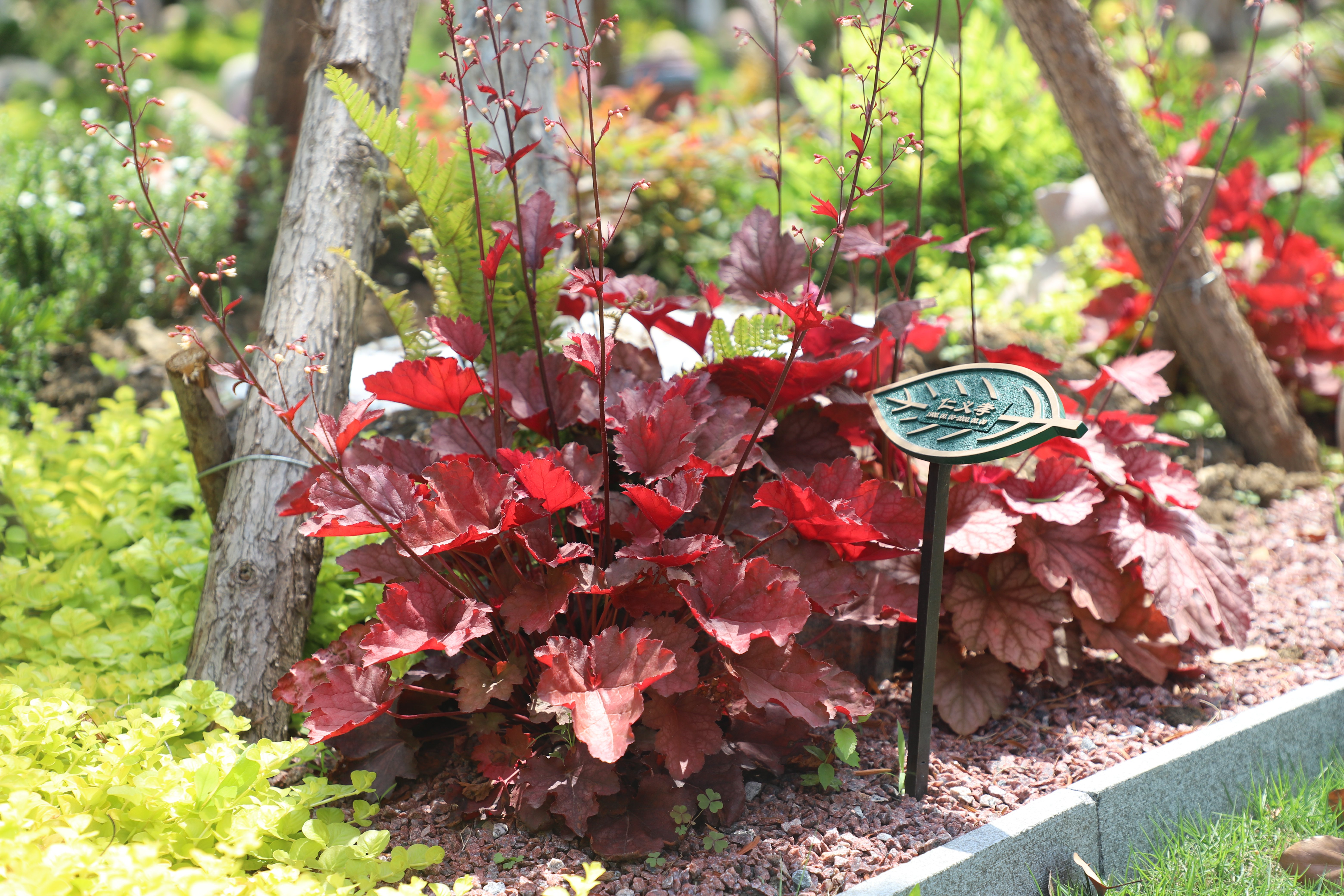 必赢亚洲·Bwin(唯一)官方网站