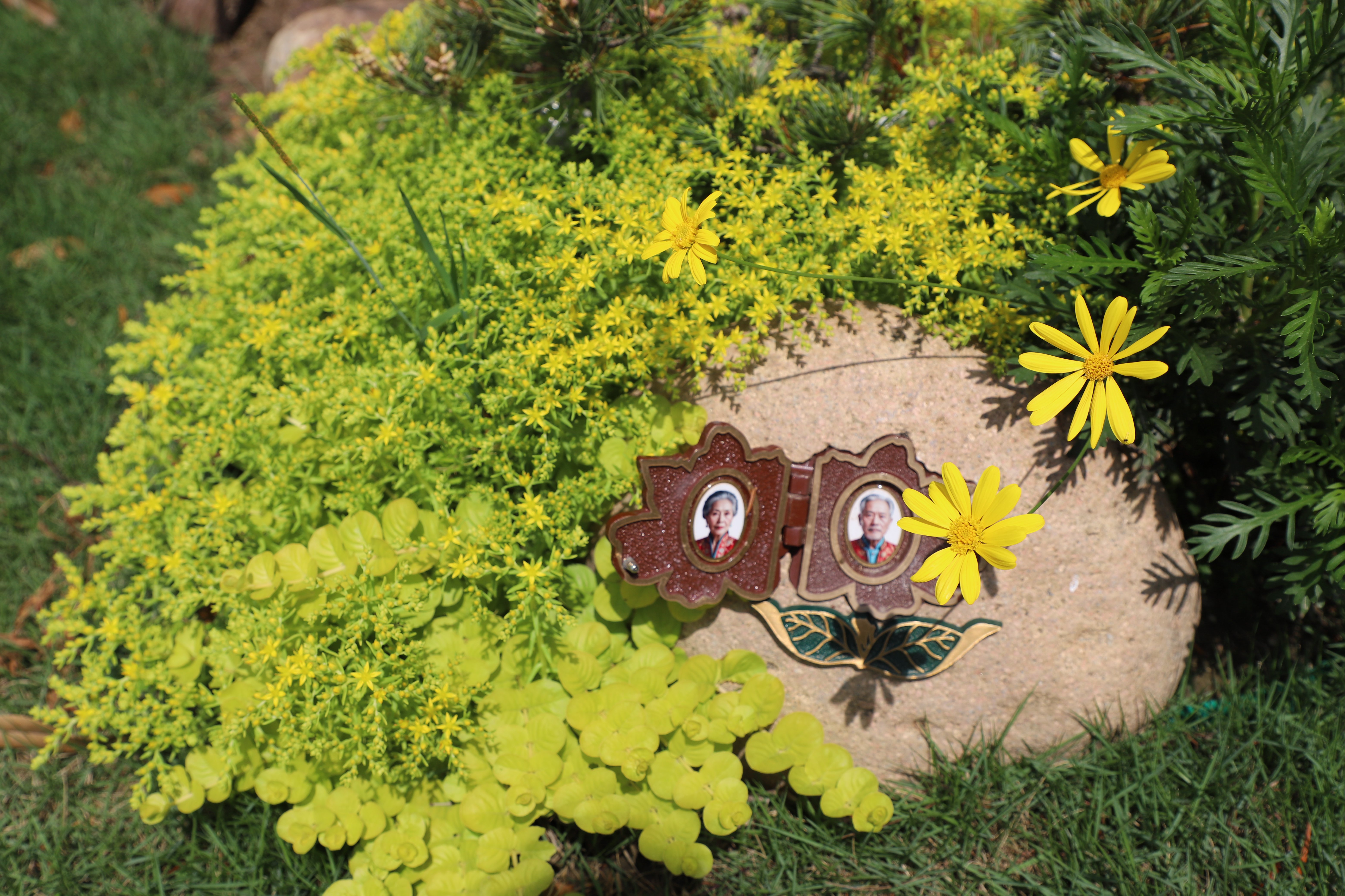 必赢亚洲·Bwin(唯一)官方网站