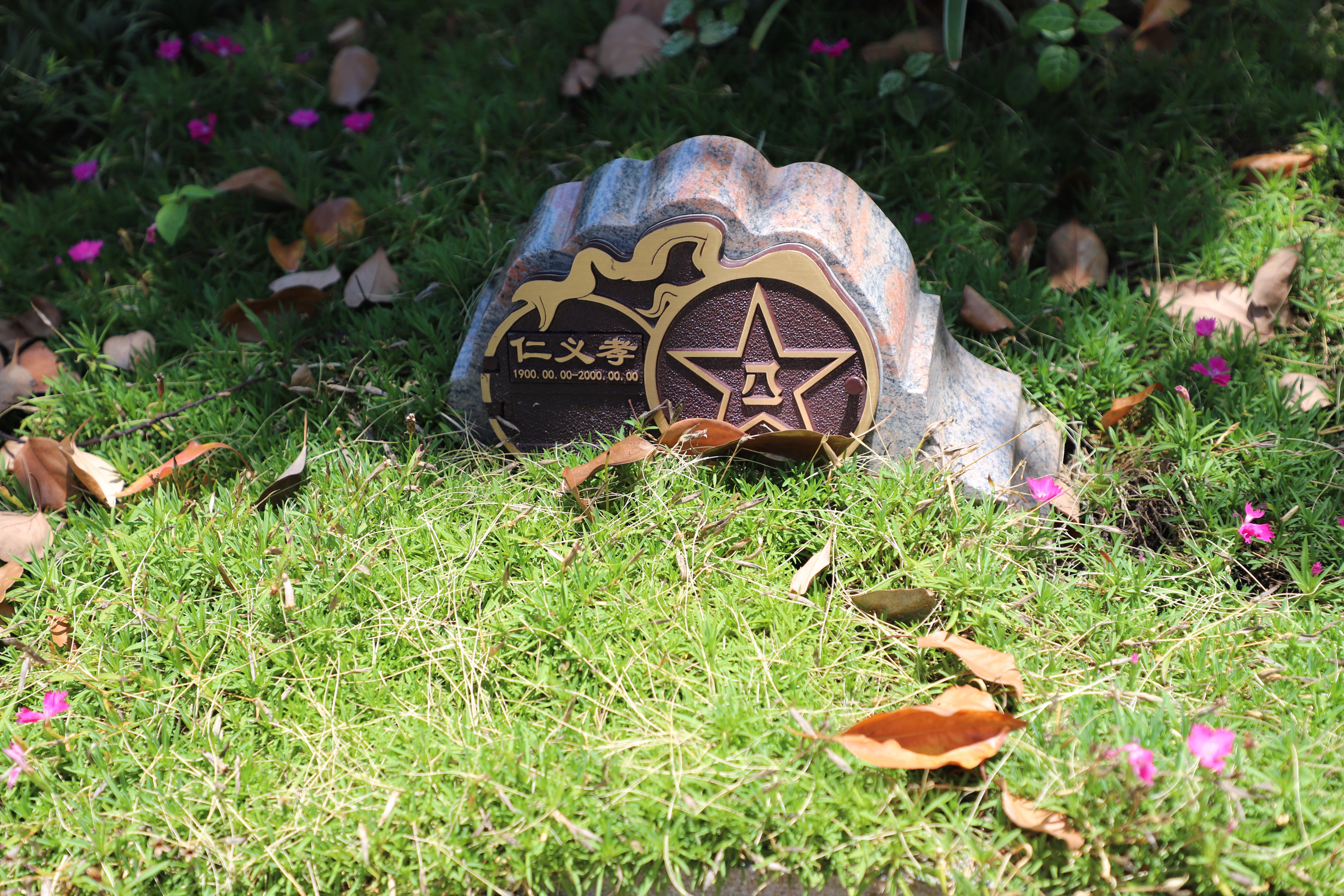 必赢亚洲·Bwin(唯一)官方网站