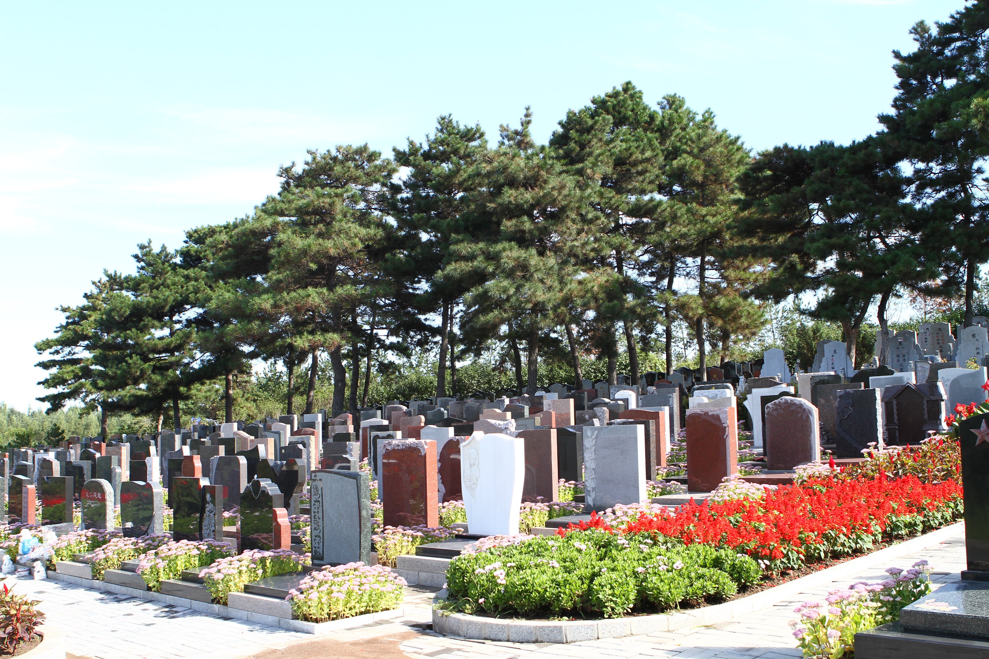 必赢亚洲·Bwin(唯一)官方网站