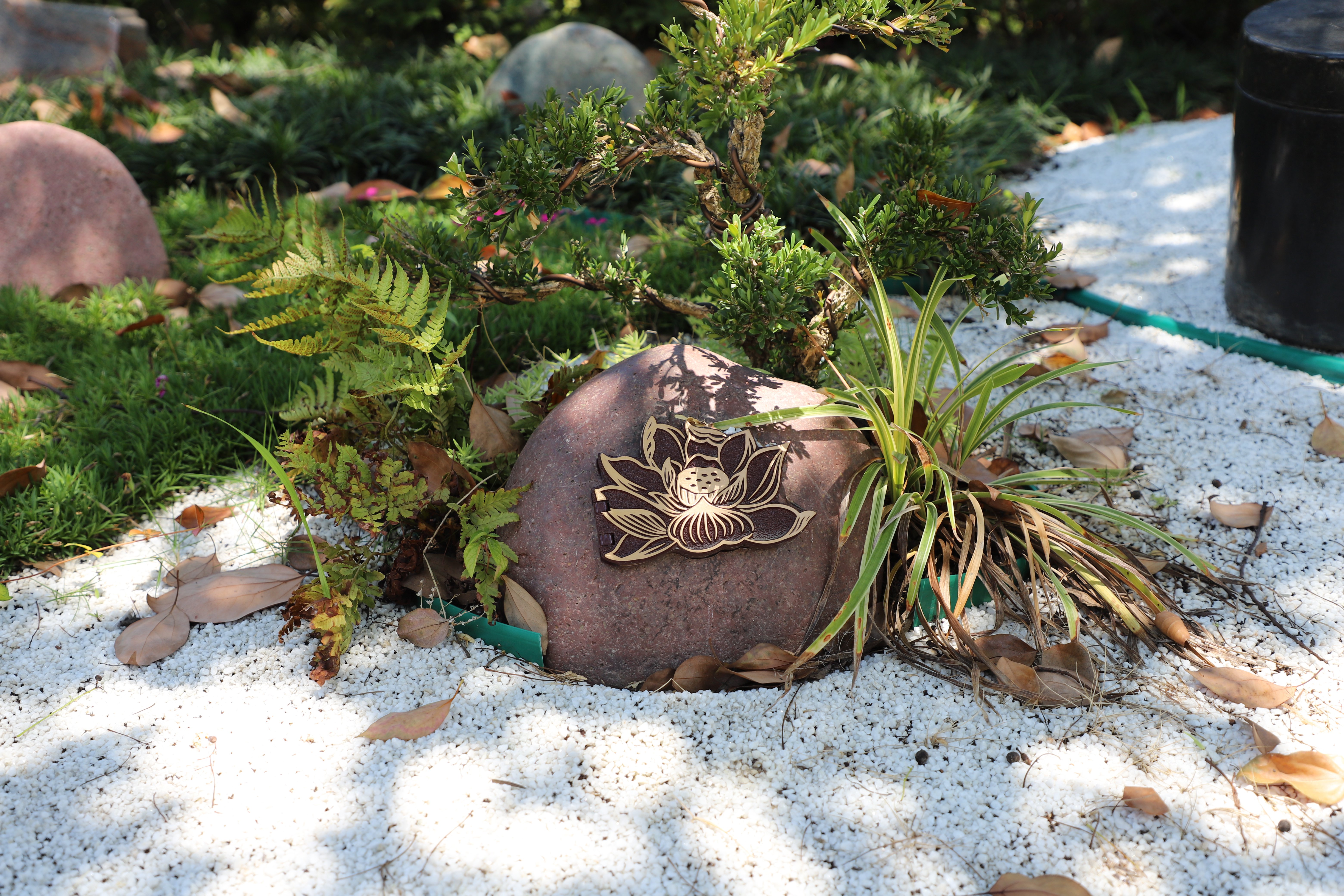 必赢亚洲·Bwin(唯一)官方网站