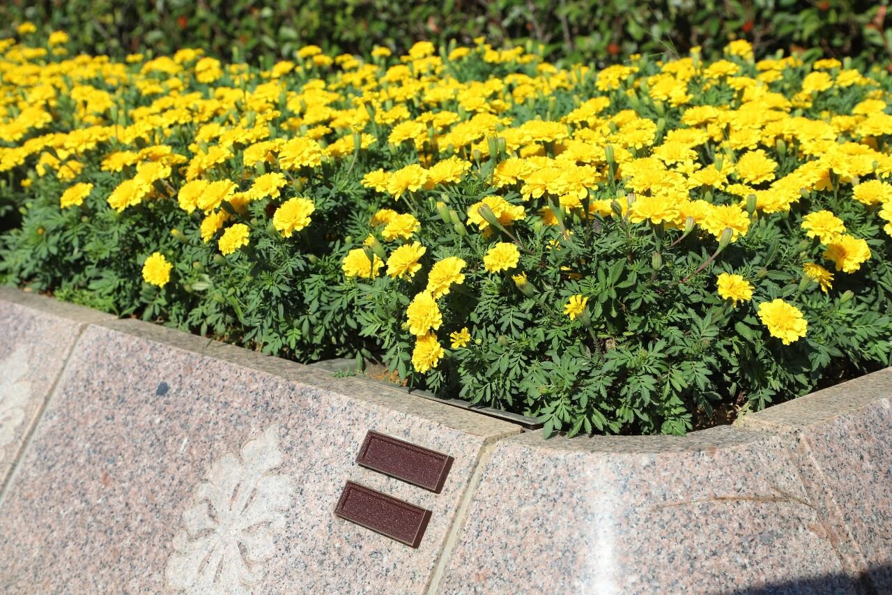 必赢亚洲·Bwin(唯一)官方网站