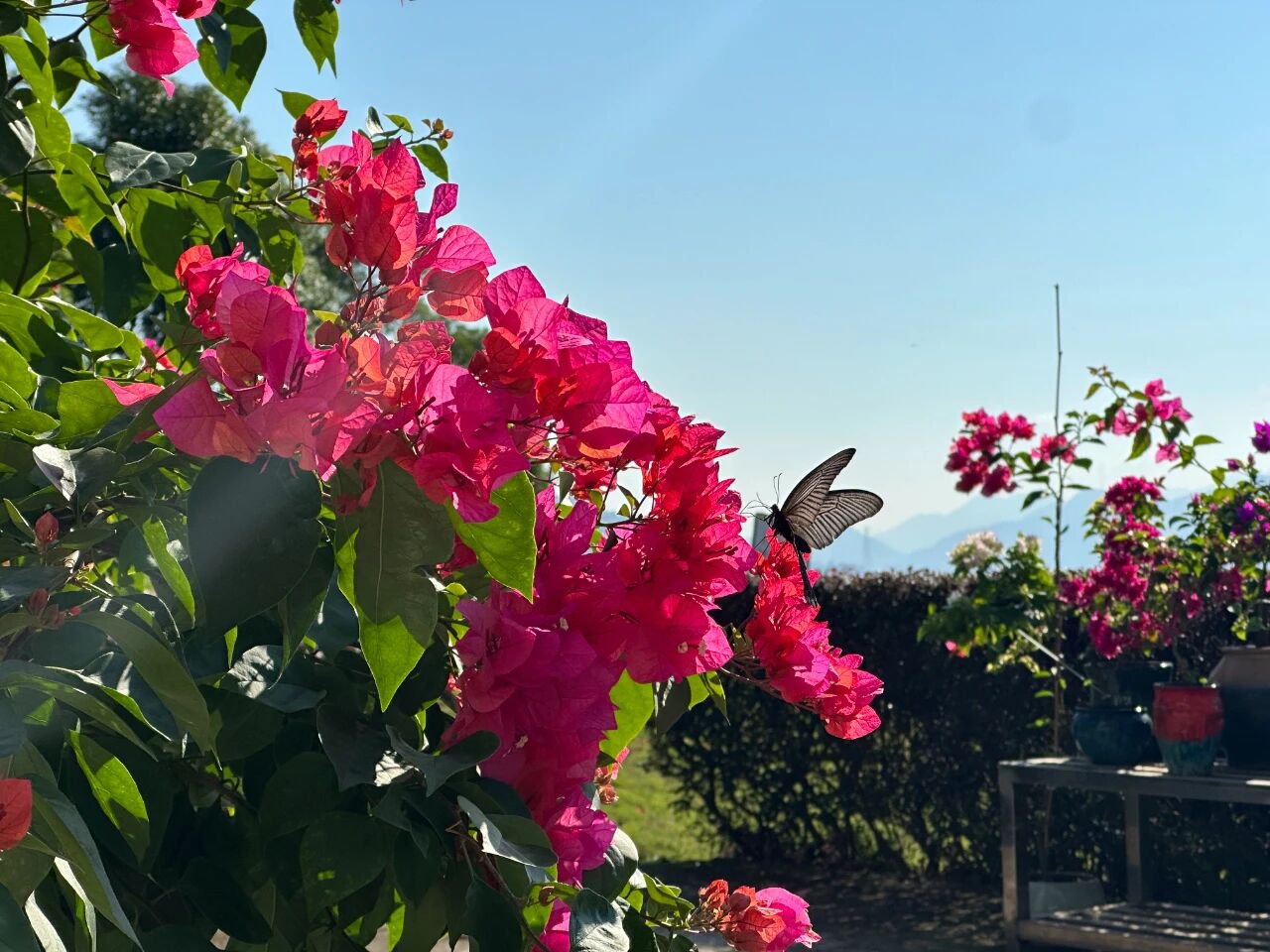 必赢亚洲·Bwin(唯一)官方网站