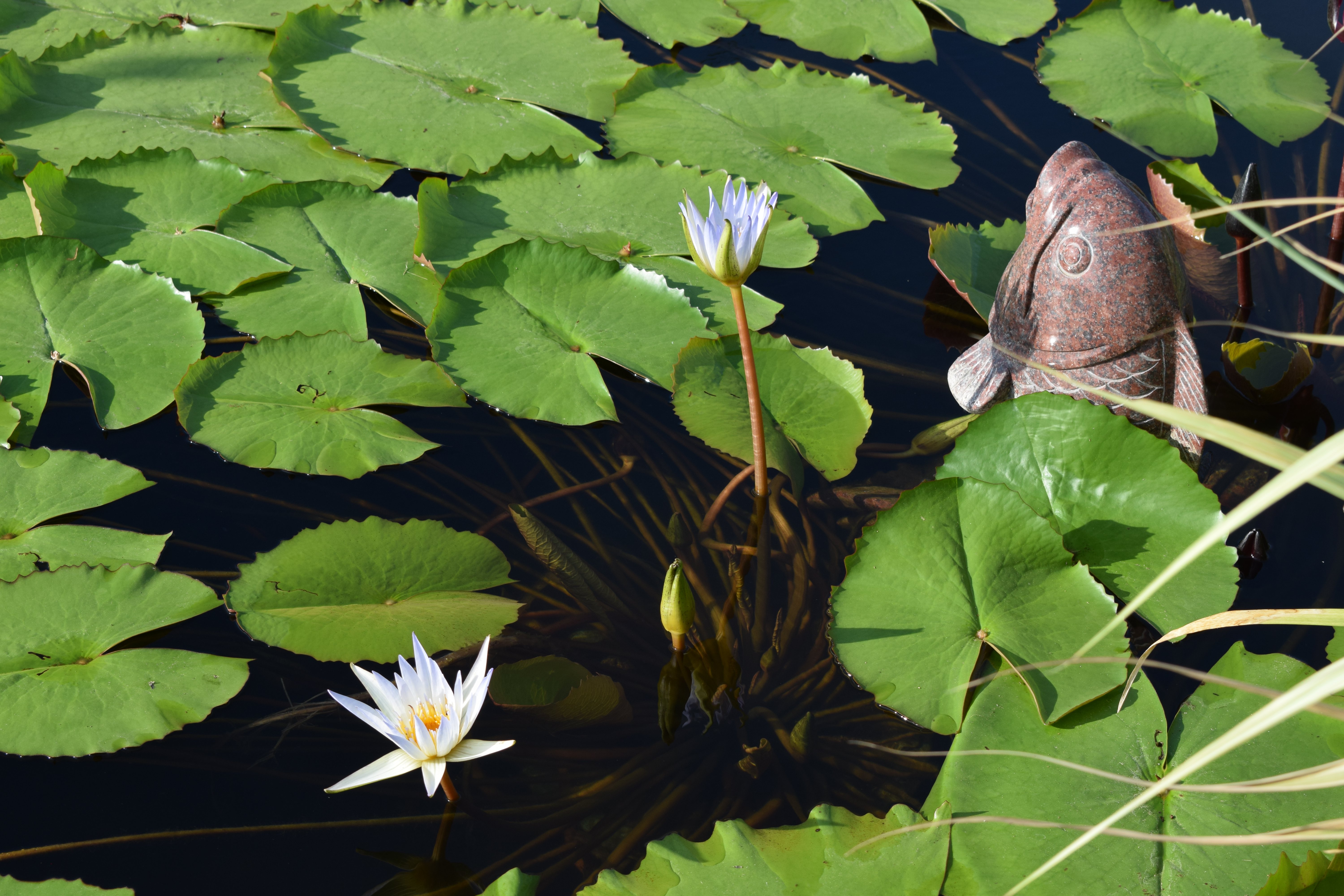 必赢亚洲·Bwin(唯一)官方网站