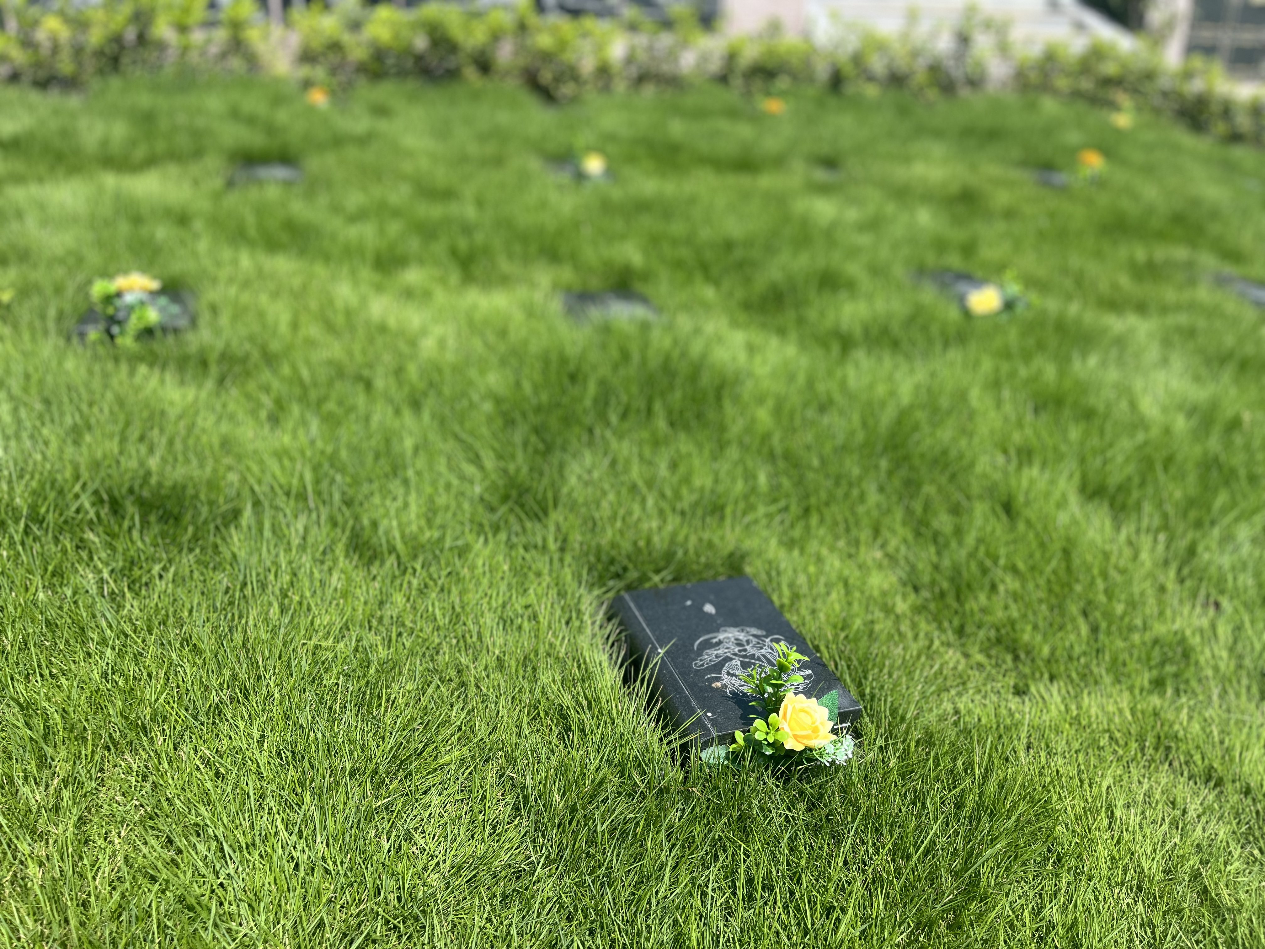 必赢亚洲·Bwin(唯一)官方网站