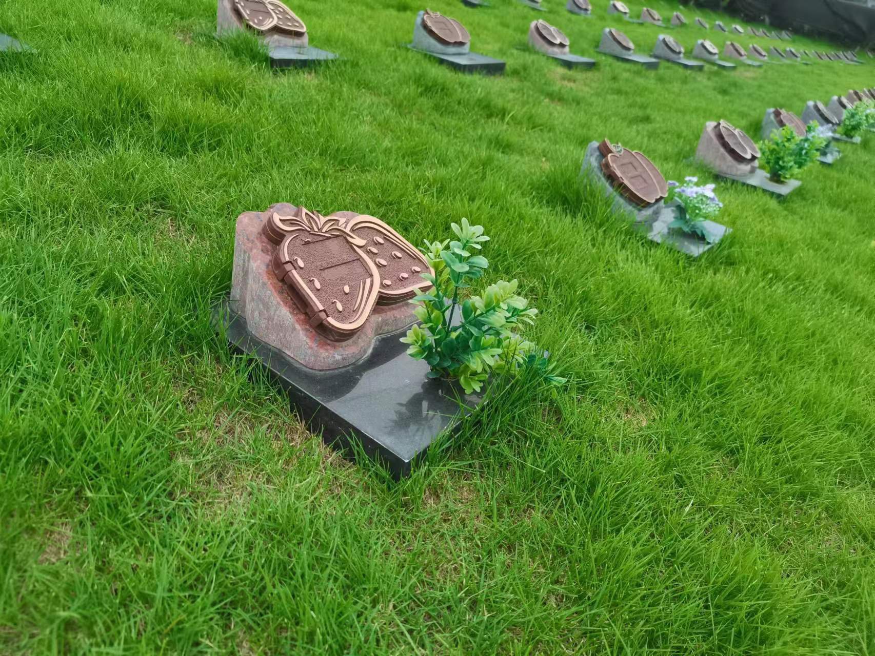 必赢亚洲·Bwin(唯一)官方网站