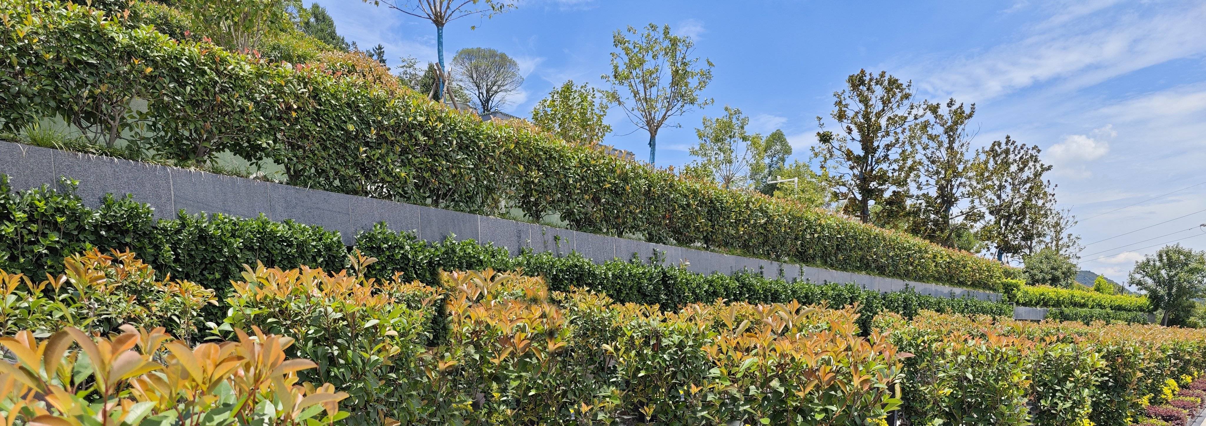 必赢亚洲·Bwin(唯一)官方网站