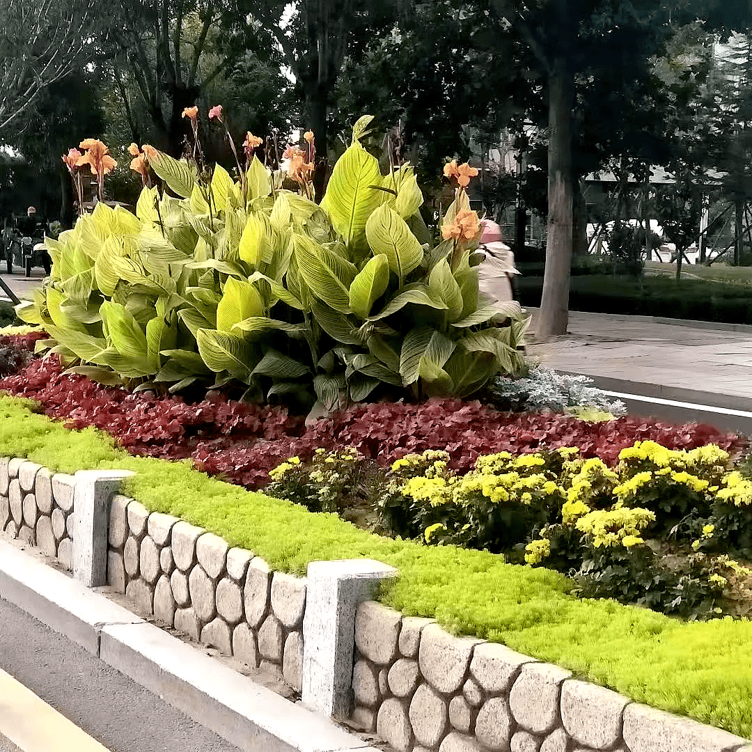 必赢亚洲·Bwin(唯一)官方网站